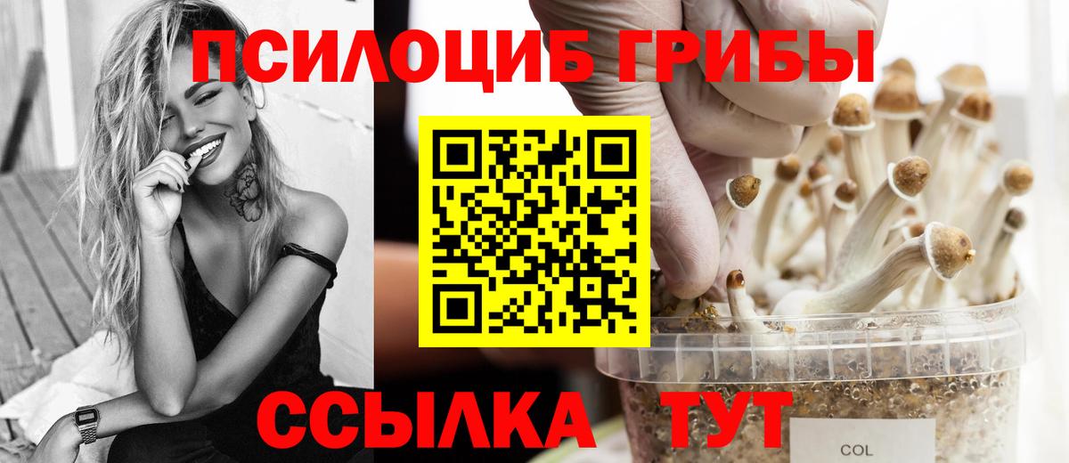 Псилоцибиновые грибы GOLDEN TEACHER  где купить   Выкса  Вход с VPN  Галлюциногенные грибы прущие грибы 